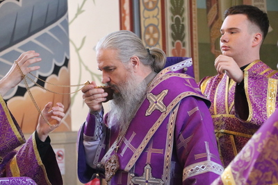 «Верую, Господи, помоги моему неверию»: епископ Савватий совершил Литургию в Неделю преподобного Иоанна Лествичника